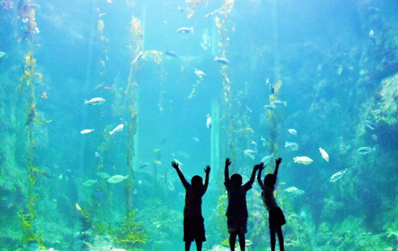 kinder-heben-die-arme-wasserhintergrund-800