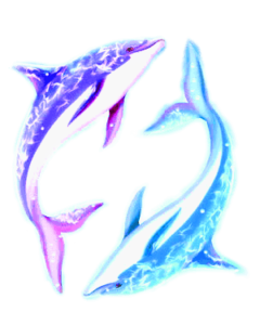 nirea-und-nireo